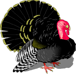 turkey13.gif