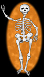 skeleton2black150.jpg