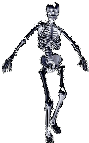 skeletondance.gif